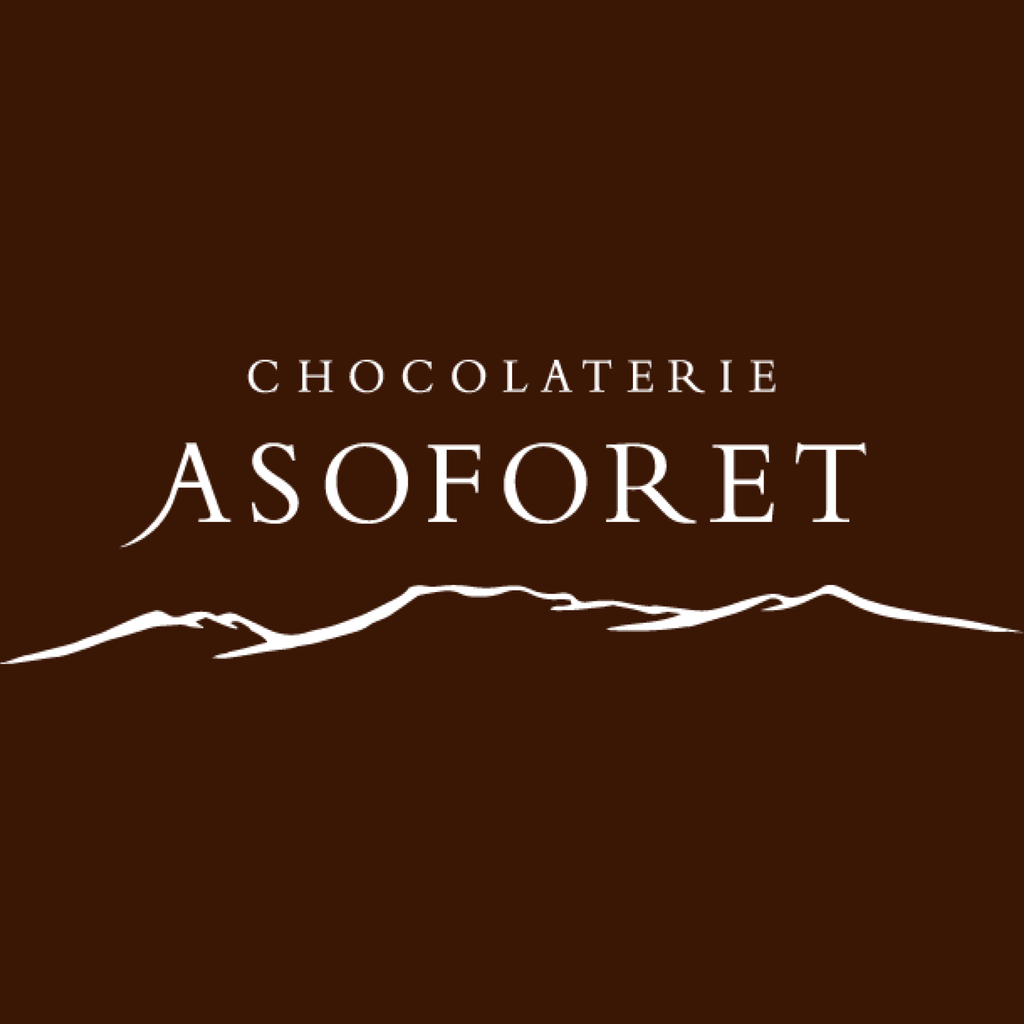 マカロン詰合せ10個入り