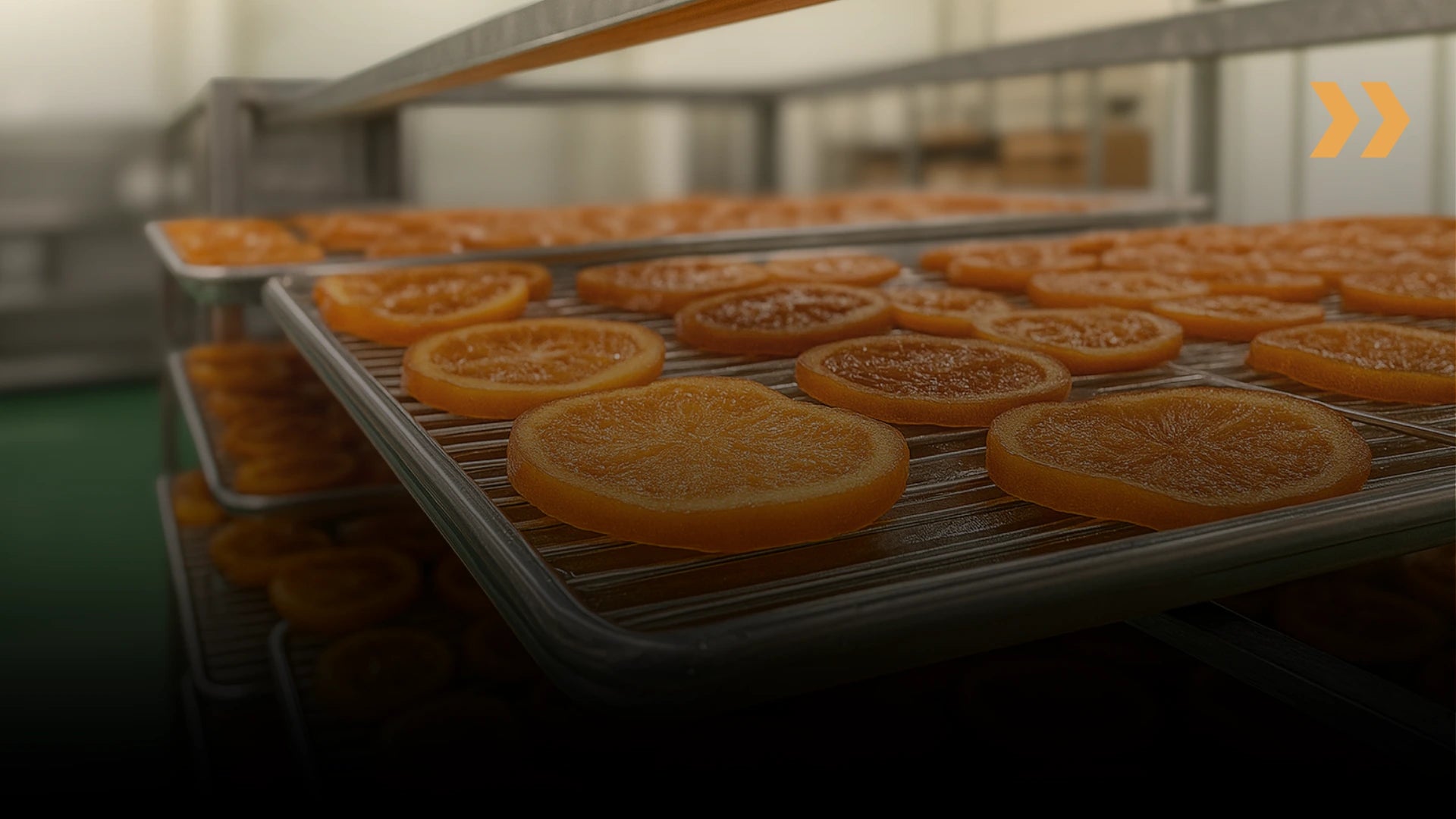 工房内の金属ラックに並べられたトレーの上で、輪切りの柑橘が乾燥・加工されている様子。手前にピントが合い、奥へ続くトレーがぼかして写っている。