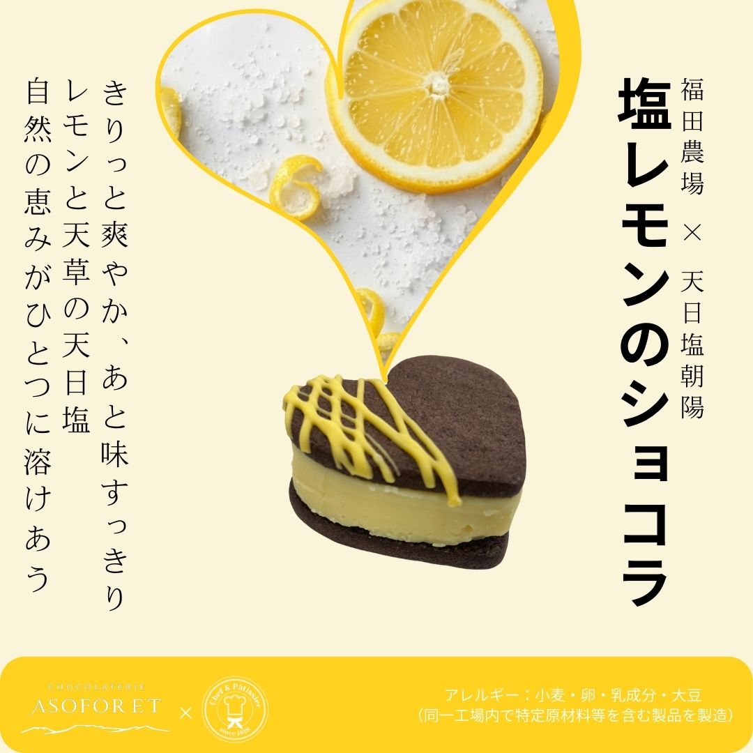 塩レモンのショコラを使ったハート型チョコレートチーズケーキの熊本土産イメージ
