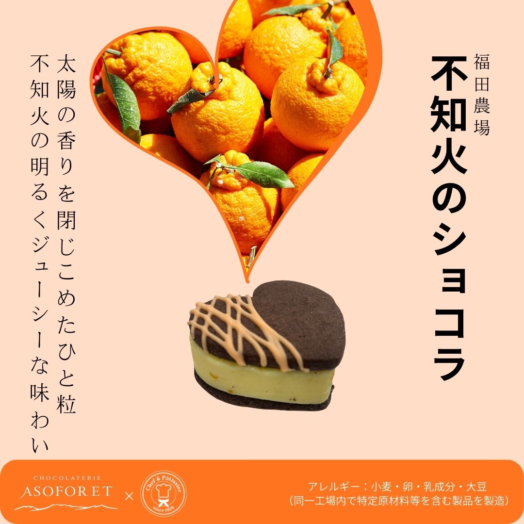 不知火を使ったハート型チョコレートチーズケーキの熊本土産イメージ