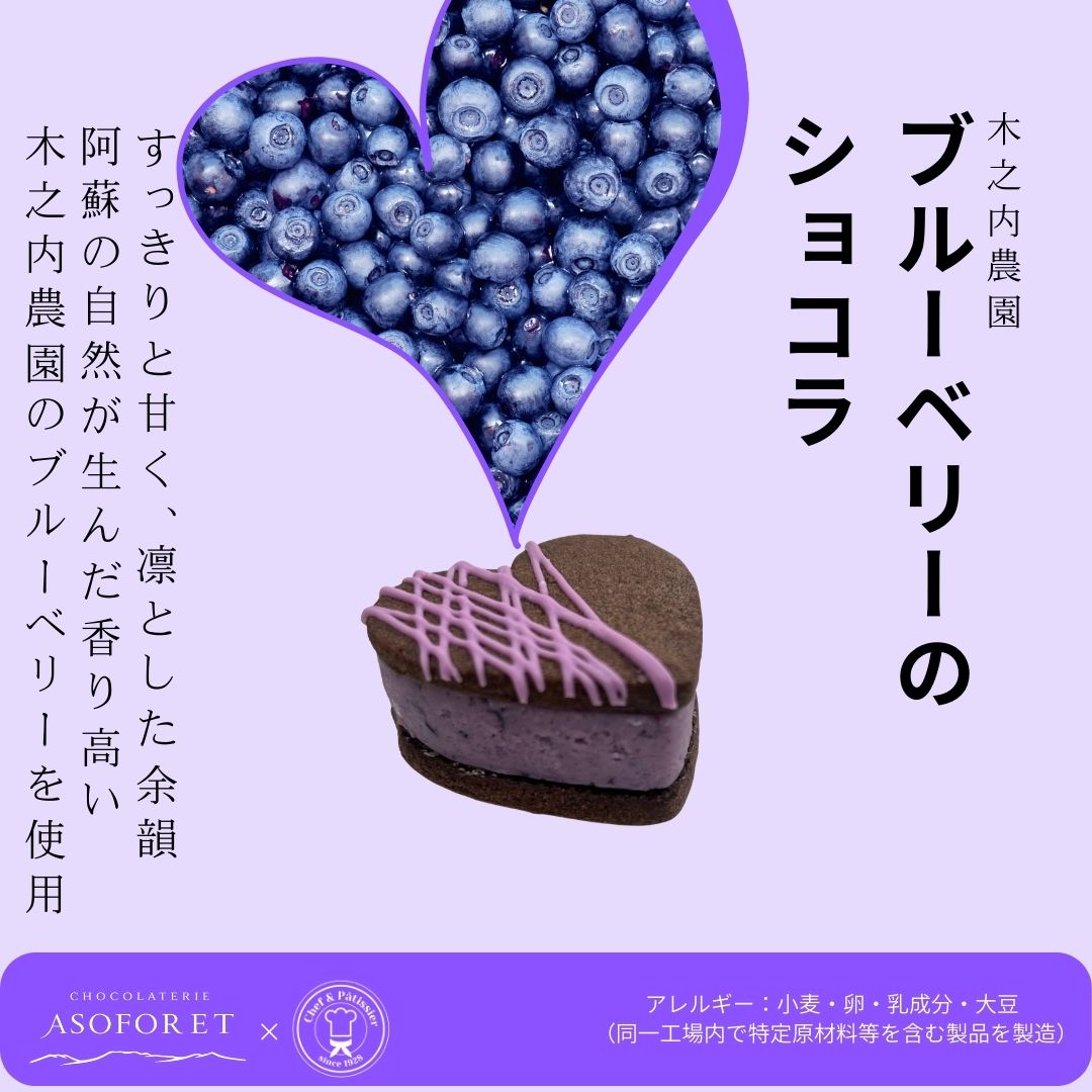 阿蘇産ブルーベリーを使ったハート型チョコレートチーズケーキの熊本土産イメージ