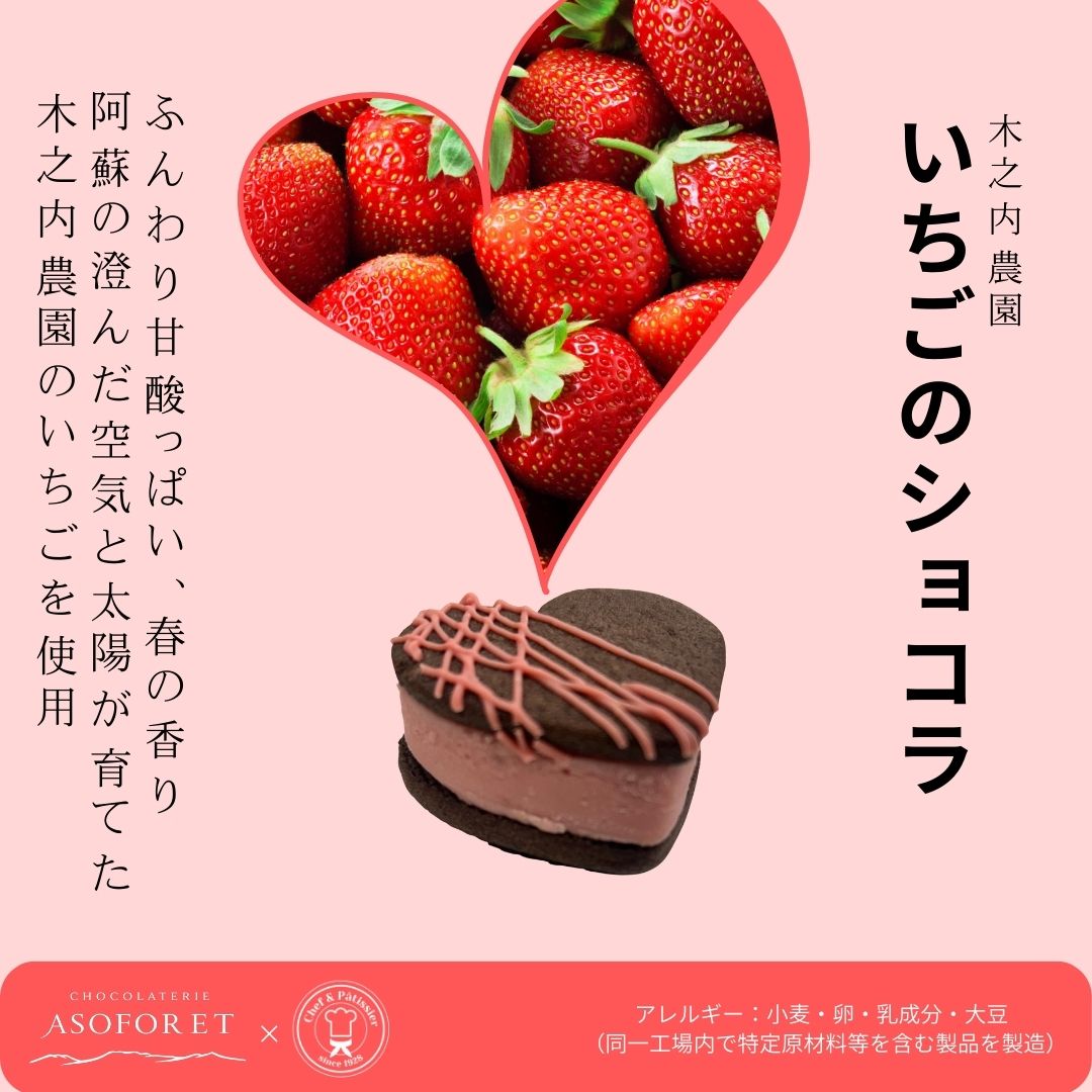 阿蘇産いちごを使ったハート型チョコレートチーズケーキの熊本土産イメージ